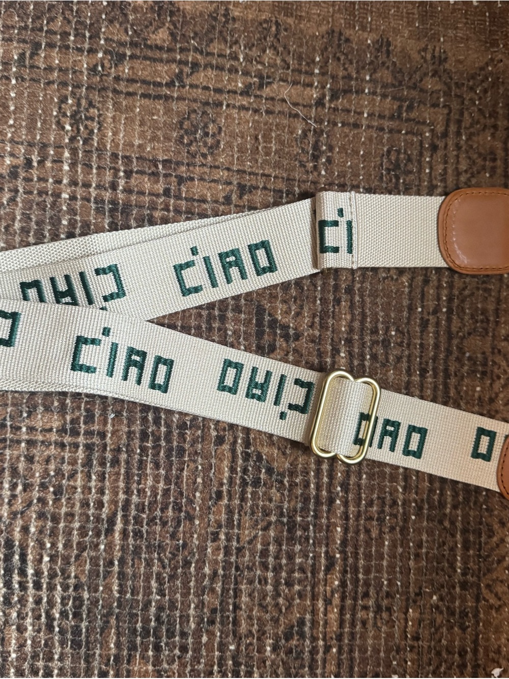 Clare V. Adjustable Strap Canvas 'CIAO' Crossbody Strap in Beige and Green